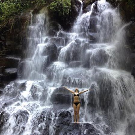 Sanggingan Villa Ubud  Bagian luar foto